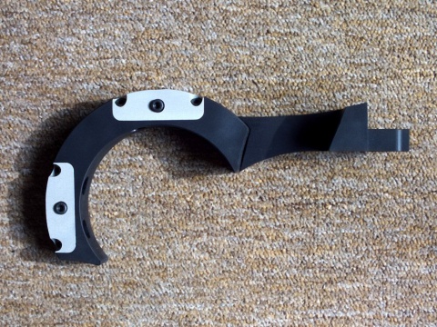 Raptor side view
