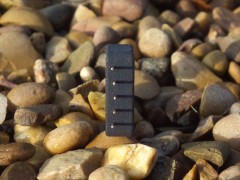 MultiPin – side view